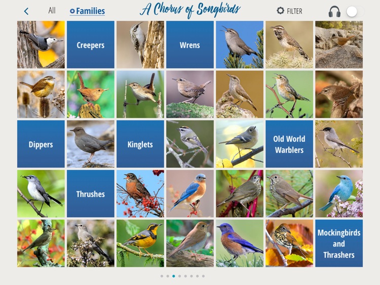 A Chorus of Songbirds