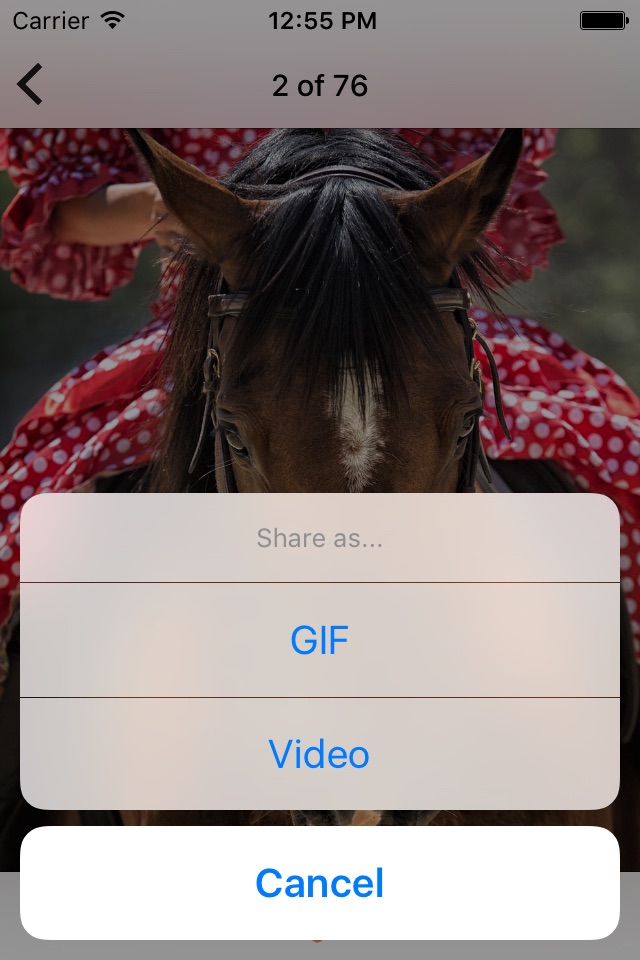 LiveBurst - Animate Burst Photos, Live to GIF Converter screenshot 3