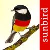 Vögel Deutschlands - ein Naturführer zum Bestimmen der heimischen Vogelarten in Garten, Wald und Wasser