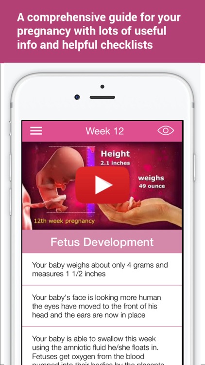 Pregnancy & Baby Development Handbook