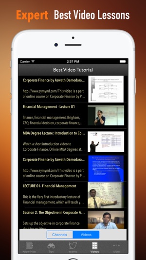 Corporate Finance Tips:Corporate Finance Tips for Success(圖3)-速報App