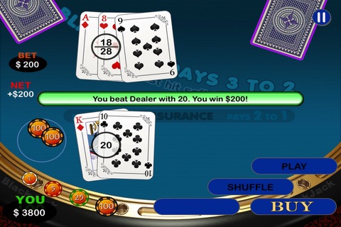 High Rollers - Black Jack Double Down Vegas Style  Casino screenshot 4