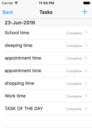 Daily Task Plan screenshot 2