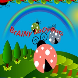 Brainy Lady bug game