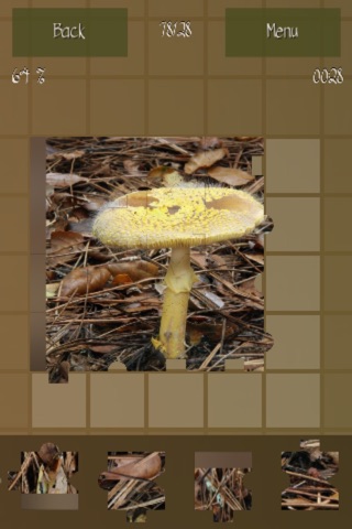 Mushrooms Puzzles Collection screenshot 3