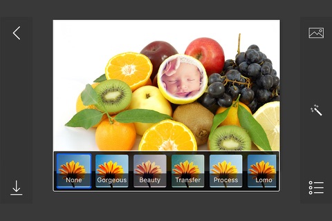 Fruit Photo Frames - make eligant and awesome photo using new photo frames screenshot 4