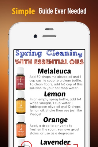 How to clean your Home Naturally with Essential Oils:Tips,Recipes and Tutorial screenshot 2