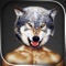 Animal Face Morph is a photo editor specifically made for those moments where you need to let your inner animal out