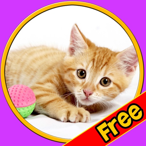 exceptionnal cats for kids - free icon