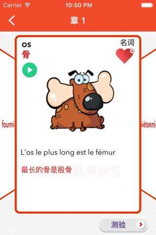 法语 - 词汇卡 screenshot 3