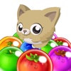 Kitty Bubble Pop GO : Newest Bubble Shooter Pet Recure Puzzle HD 2016