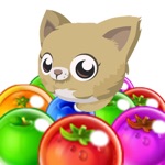 Kitty Bubble Pop GO  Newest Bubble Shooter Pet Recure Puzzle HD 2016