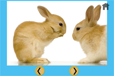 verry funny rabbits for kids - free screenshot 3