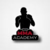 Mixed Martial Arts Academy
