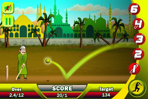 Ramzan Cricket Pro screenshot 3