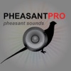 Pheasant Hunting Calls - With Bluetooth - Ad Free