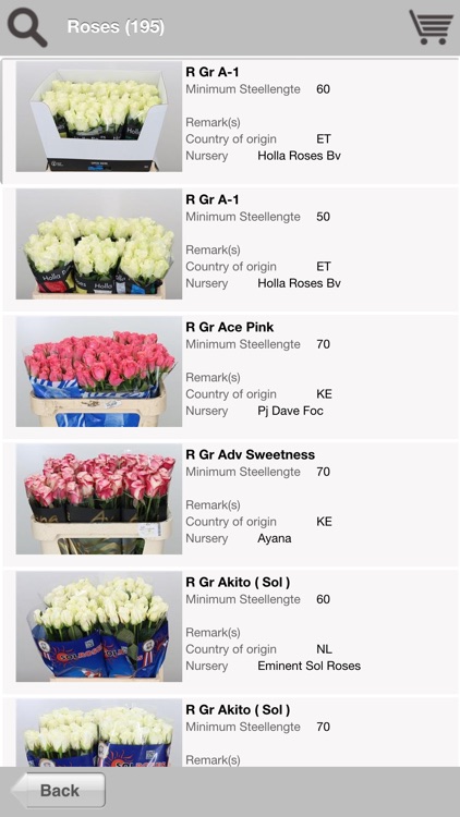 Janssen Flowerexport