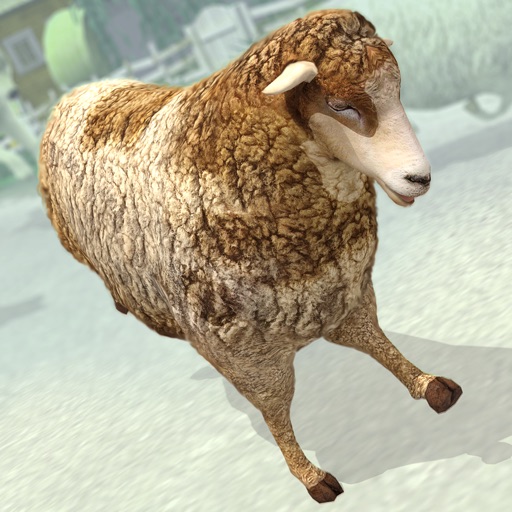 Sheep Racing Adventure in The Tiny Virtual Pet Town - PRO