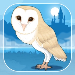 Owl Simulation Game