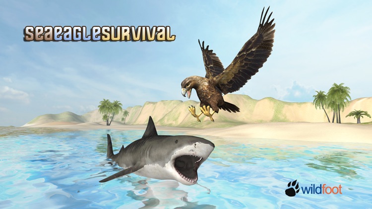 Sea Eagle Simulator