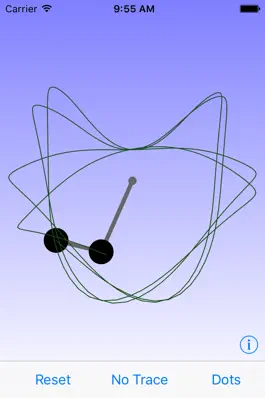 Game screenshot Double Pendulum Simulation apk