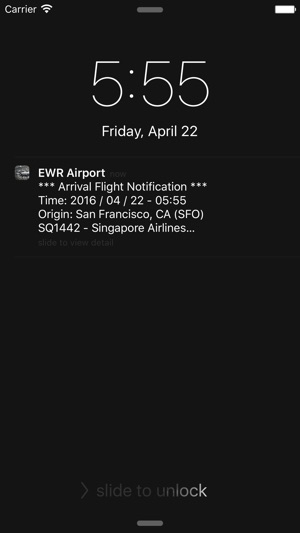 NY Newark Liberty Airport(EWR) Flight Info(圖4)-速報App