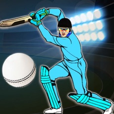 Activities of Quick Cricket 3D