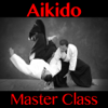 Aikido Master Class - Anthony Walsh