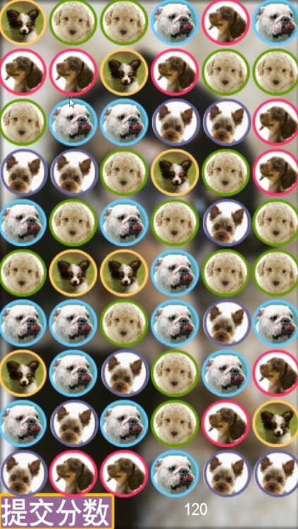 Cute Puppy Puzzle - A fun & addictive puzzle matching game screenshot-4