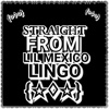 Lil Mexico Lingo by AppsVillage