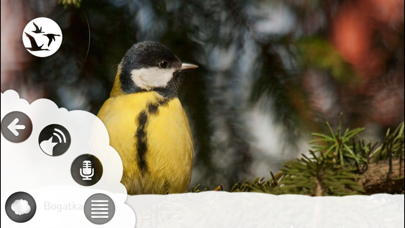 How to cancel & delete Atlas ptaków dla dzieci from iphone & ipad 2