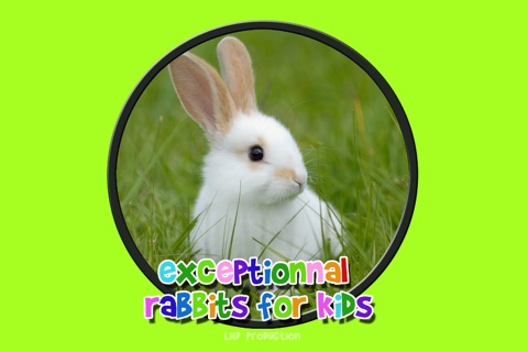 exceptionnal rabbits for kids no ads screenshot 4