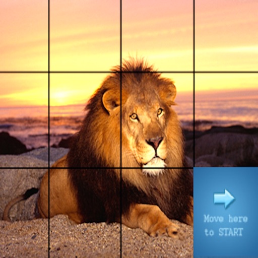 Puzzle Picture Smart - ghép hình siêu trí tuệ iOS App