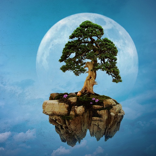 Bonsai Wallpapers HD: Quotes Backgrounds with Art Pictures icon
