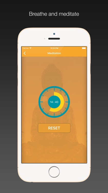 Perfect Zen - Meditation Timer with Interval bell, ambient sounds screenshot-4
