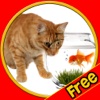 talented cats for kids - free