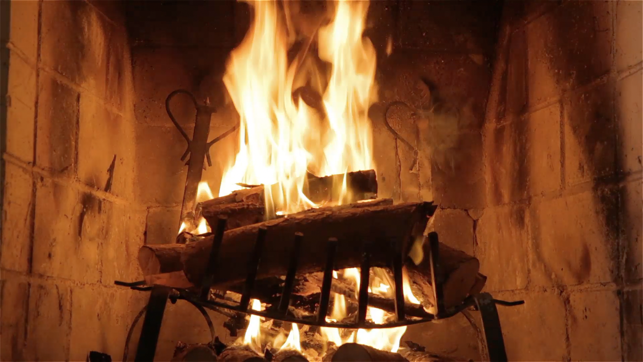 Wonder Fireplace - Video Wallpaper of Relaxing Scenes(圖4)-速報App