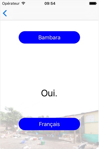 BambaraFrench screenshot 4