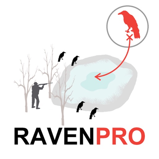 Raven Hunting Strategy - Hunting Simulator for Bird Hunting icon