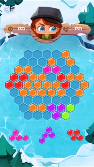 Hex Crush Block Fit Puzzle