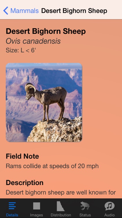 Grand Canyon National Park Field Guide