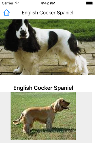 Encyclopedia of Dogs screenshot 2