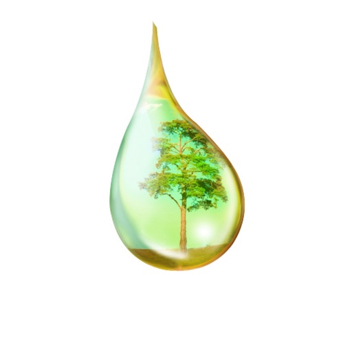 YL Oil Guide