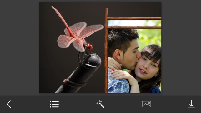 Dragonfly Photo Frame - Picture Frames + Photo Effects(圖2)-速報App