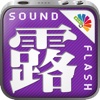 サウンドフラッシュ-日露交互 日本語とロシア語を交互に再生、登録できる音声フラッシュカード