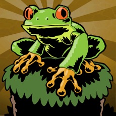 Activities of Swampy Frog