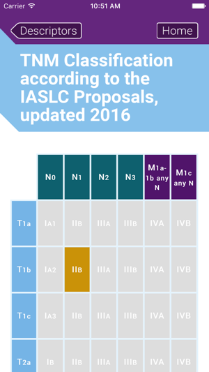 TNM Lung Staging(圖4)-速報App