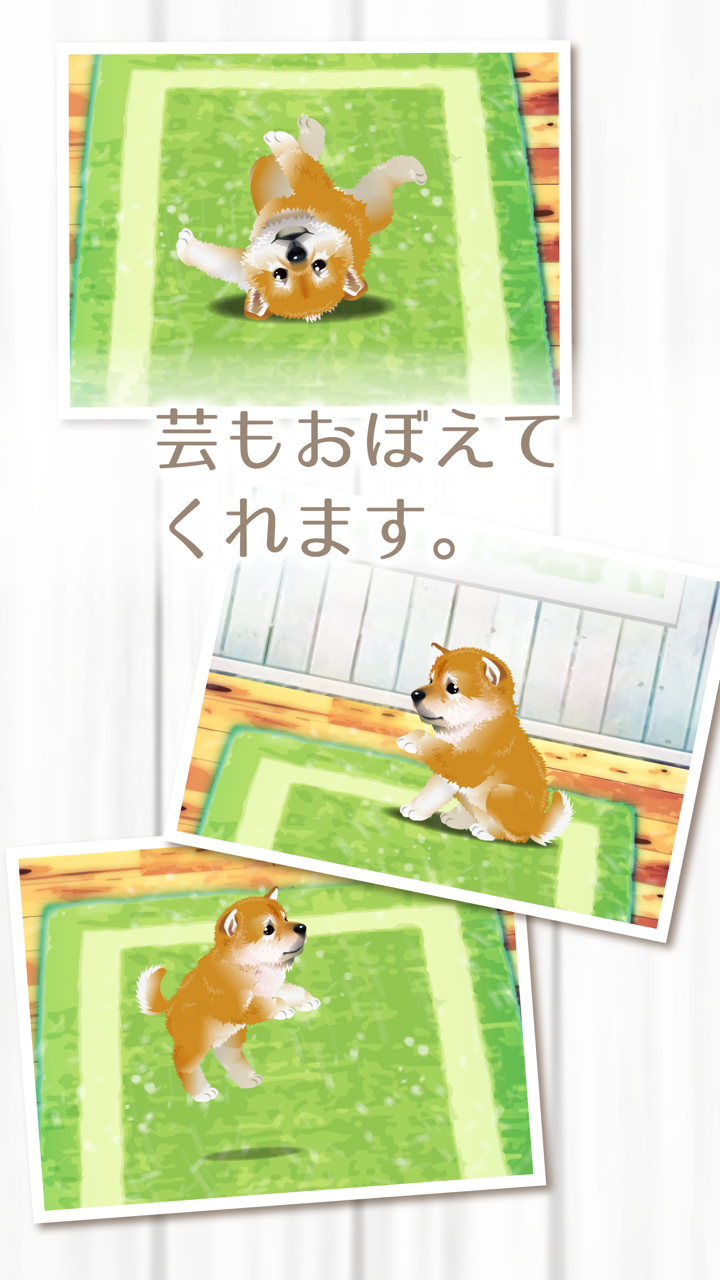 My Dog Life -Japanese Shiba Inu Edition- screenshot 3