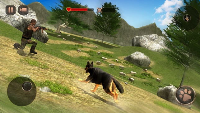 Shepherd Dog Simulator 3D(圖3)-速報App