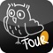 Let the owl show you the town